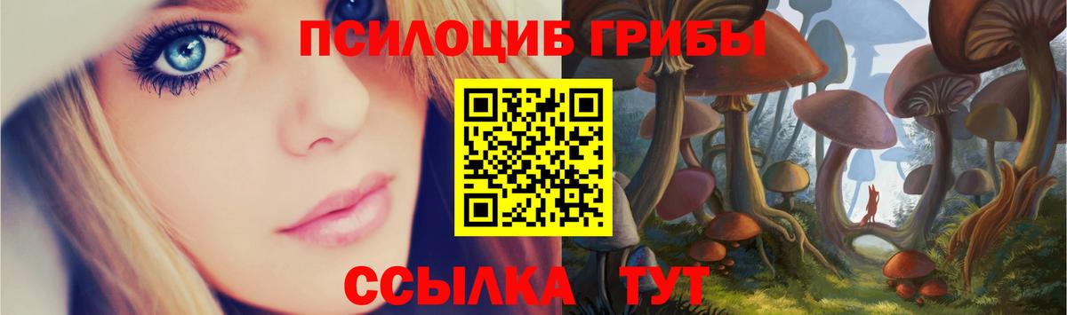 Псилоцибиновые грибы Cubensis Ликино-Дулёво